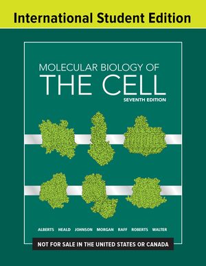 Molecular Biology of the Cell - Description | W. W. Norton