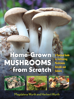 Book cover.