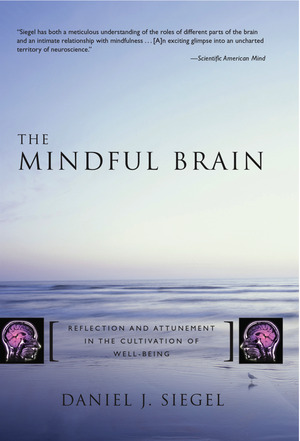 The Mindful Brain, Daniel J Siegel