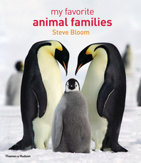 My Favorite Animal Families Cover
