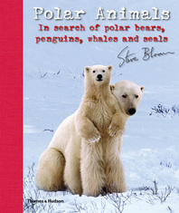 Polar Animals: In Search of Polar Bears, Penguins, Whales and Seals Cover