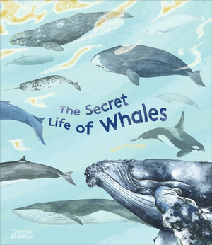 Thames & Hudson USA - Book - The Secret Life of Whales