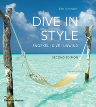 Dive in Style Cover
