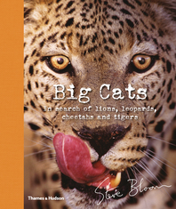 Big Cats: In Search of Lions, Leopards, Cheetahs, and Tigers Cover