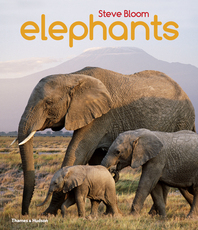Elephants: A Book for Children Cover