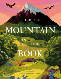 There's a Mountain in This Book Cover