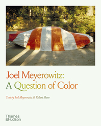 Joel Meyerowitz: A Question of Color Cover
