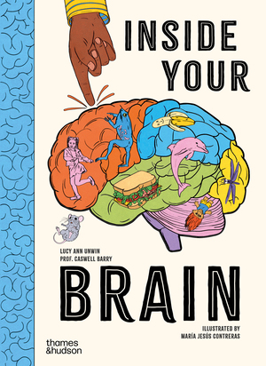 【洋書ハードカバー】INSIDE THE BRAIN Thames & Hudson USA - Book - Inside Your Brain: Ten Discoveries
