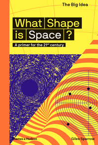 What Shape Is Space? (The Big Idea Series) Cover