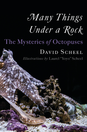 Many Things Under a Rock  David Scheel, Laurel Yoyo Scheel