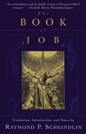 The Book Of Job Raymond P Scheindlin Raymond P Scheindlin W W Norton Company